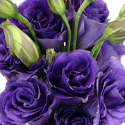 Long Lasting Lisianthus Seeds