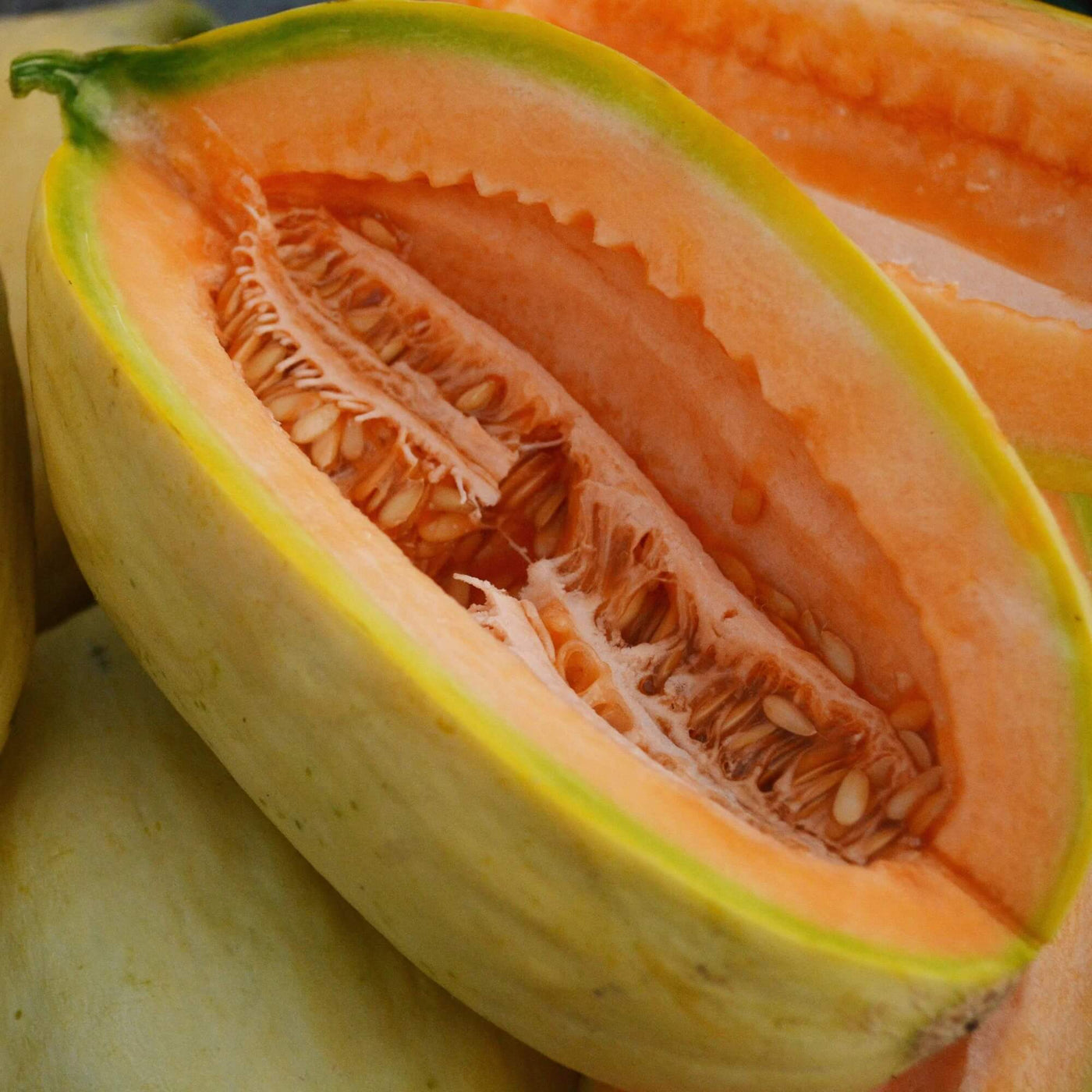 Gold Banana Melon Seeds
