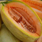 Gold Banana Melon Seeds