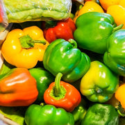 Multi-Colored Pepper Seeds