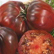 Black Krim Tomato Seeds