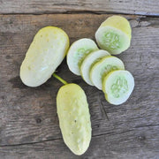 Crisp Salad Cucumber Seeds