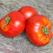 Box Car Willie Tomato Seeds