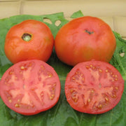 Box Car Willie Tomato Seeds