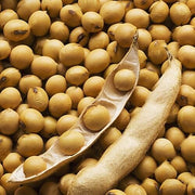 Brown Soybean Seeds