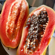 Florida Red Papaya Seeds