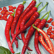 Long Red Slim Cayenne Pepper Seeds