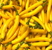 Yellow Chilli Seeds