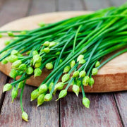 Schnittlauch Chive Seeds, Herbal