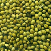 Light Green Coriander Seeds, Herbal