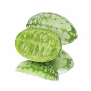 Mexican Mini Cucumber Melothria Scabra Seeds