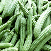 Angled Muop Khia Luffa Seeds