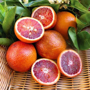 Dark Red Lemon Seeds