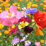 All In One Bouquet Mix Wildflower Seeds