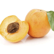 Apricot Apricot Seeds