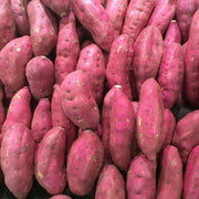 Pink Sweet Potato Seeds