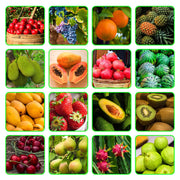 Mixed Passion Seeds