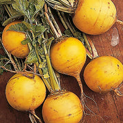 Golden Ball Turnip Seeds