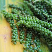 Green Pepper Seeds