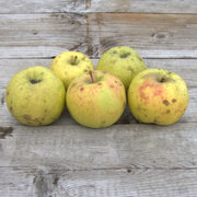 Grimes Golden Apple Seeds