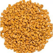 Fenugreek Seeds - Herbal Plant For Home Gardens Seeds