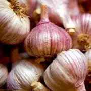 Red Seeds, Allium sativum