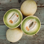 Green White Cantaloupe Melon Seeds