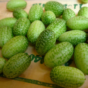 White Cantaloupe Mouse Melon Seeds