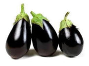 Black Eggplant Seeds