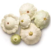 White Patisson Squash Seeds