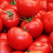 Campbell's Soup Tomato Seeds