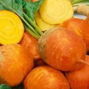 Dark Orange Radish Seeds