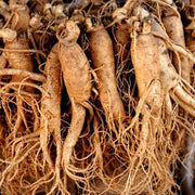 Korean Ginseng Seeds, Herbal