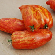 Speckled Roma Tomato Seeds
