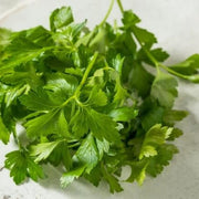 Flat Leaf Parsley Seeds