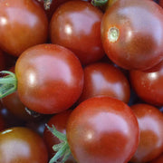 Brown Berry Tomato Seeds