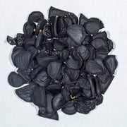 Yucca Seeds - All In One For Home Gardens