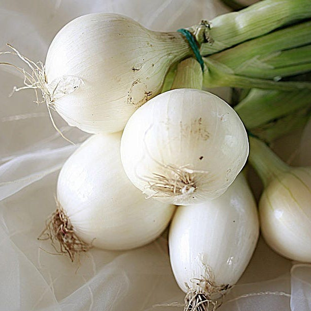 Crystal White Onion Seeds