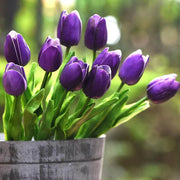 Wildflower Mix Violet Tulip Seeds