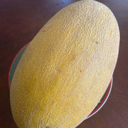 Hami Melon Seeds