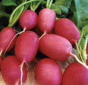Lady Slipper Radish Seeds
