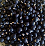 Cajanus Cajan Pigeon Pea Seeds