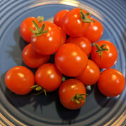 Birdie Rouge Red Cherry Tomato Seeds