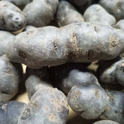 Black Sweet Potato Seeds