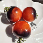Red Black Tomato Seeds