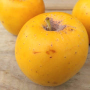 Opal Yellow Apple Seeds