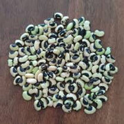 Black White Bean Seeds
