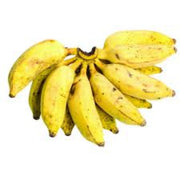Goldfinger Banana Seeds