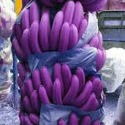 Violet Banana Seeds
