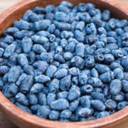 Haskap Berry Seeds